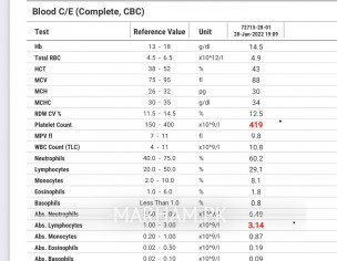 Little Bit High Platelets And Abs. Lymphocytes.