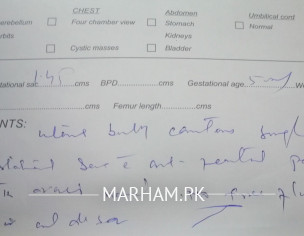 Early Pregnancy Problem