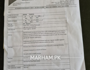 Please Explain This Ultrasound Report