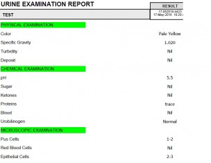Reports Examination
