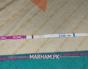 Pregnancy Strip Test