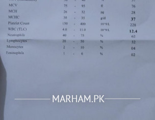 Constant Temperature