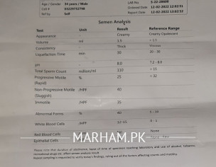 Seamen Analysis Report