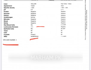 Paediatrician | Urologist | UTI