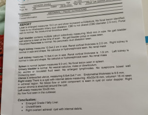 Gallbladder Stone Operation