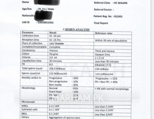 Semen Analysis Report Overview 