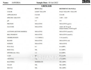 Kindly Check These Reports