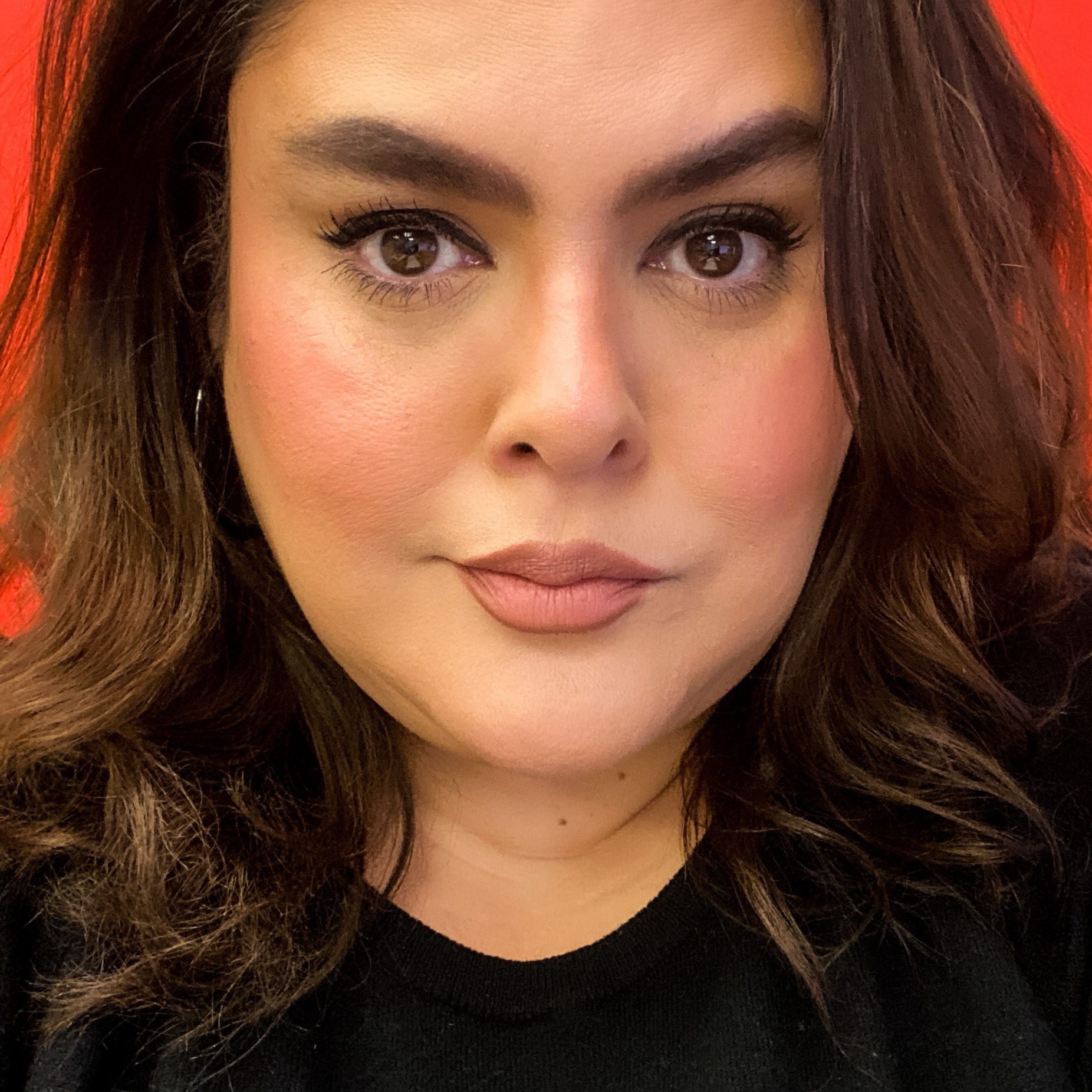 Silvia Castillo State Farm Agent Team Member