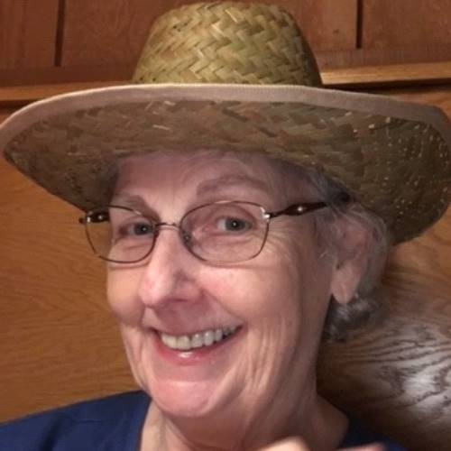 Nancy Voyles State Farm Agent Team Member