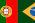 Português do Brasil