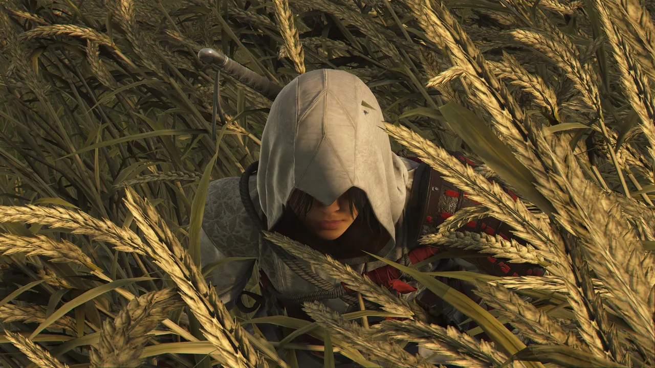 Naoe hiding in a wheat field