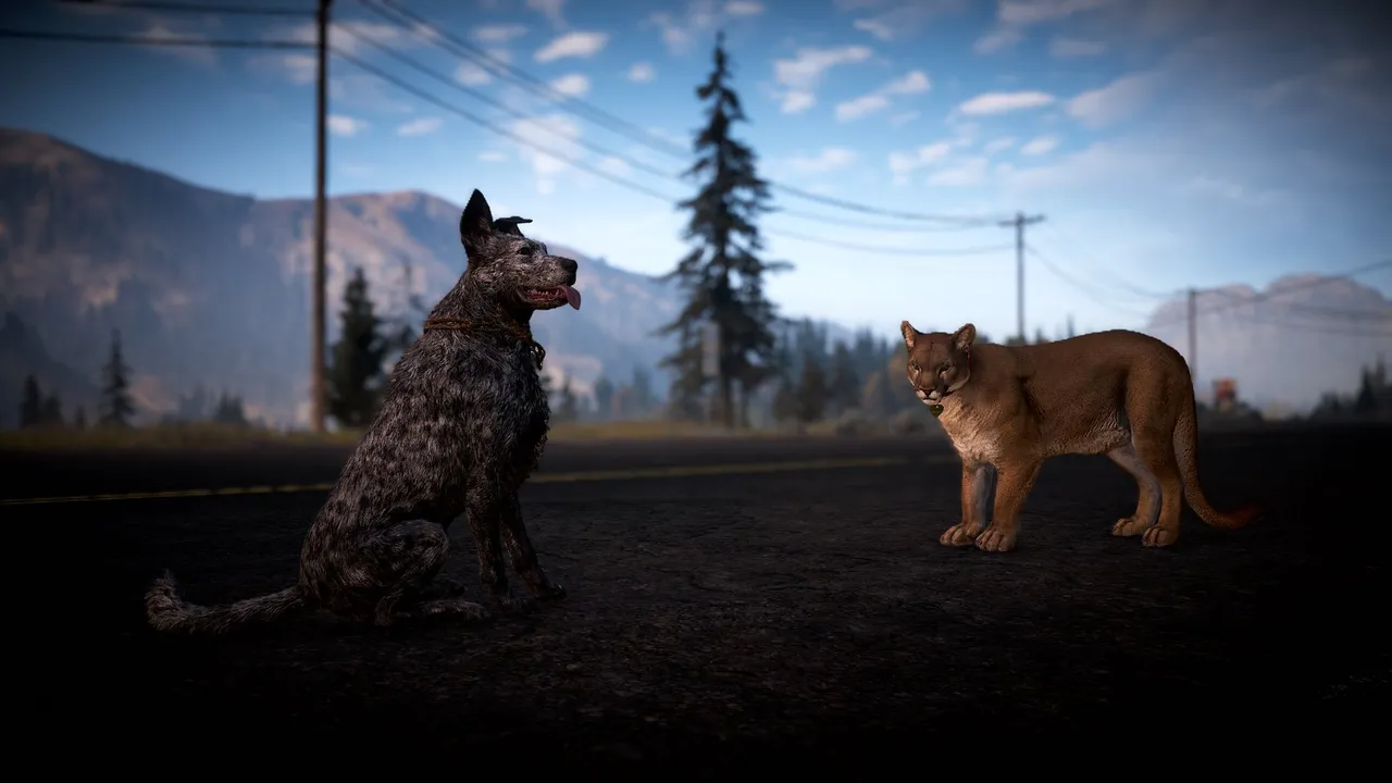 Boomer and Peaches standing on the roadside