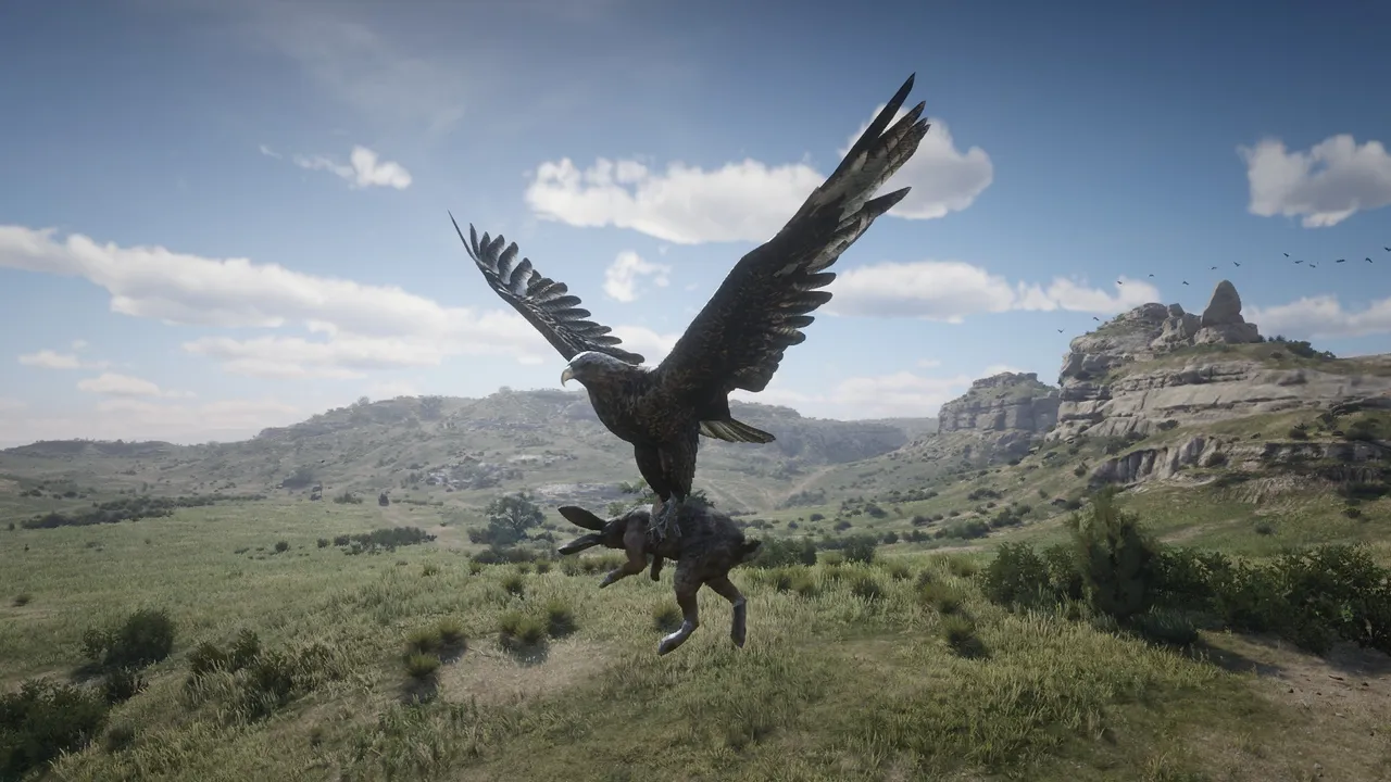 Eagle carries some rabbit lunch in the Heartlands. 