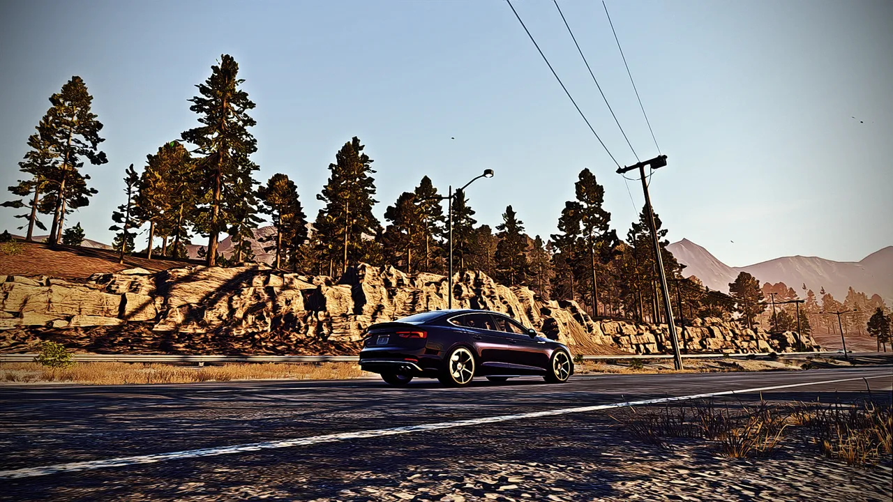 Free Roam