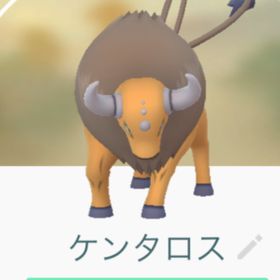 ベスト50 ポケモン 青 ケンタロス すべてのぬりえ