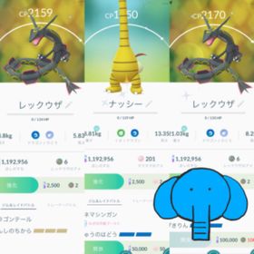 ポケgo ポケモンgo アローラナッシー アカウント販売 Rmtの横断比較 Price Rank