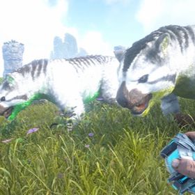 Ark Survival Evolved ティラコレオ アカウント販売 Rmtの横断比較 Price Rank