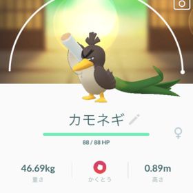 ポケgo ポケモンgo カモネギ アカウント販売 Rmtの横断比較 Price Rank