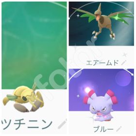 ポケgo ポケモンgo ツチニン アカウント販売 Rmt 件を横断比較 アカウント売買 一括比較 Price Rank