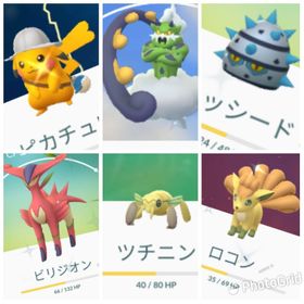 ポケgo ポケモンgo ツチニン アカウント販売 Rmt 18件を横断比較 アカウント売買 一括比較 Price Rank