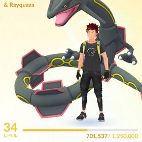 ポケgo ポケモンgo レックウザ アカウント販売 Rmt 60件を横断比較 アカウント売買 一括比較 Price Rank