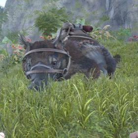 Ark Survival Evolved ベロナ アカウント販売 Rmt アカウント売買 一括比較 Price Rank