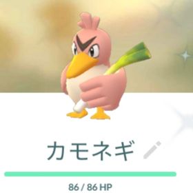 ポケgo ポケモンgo カモネギ アカウント販売 Rmt 19件を横断比較 アカウント売買 一括比較 プライスランク