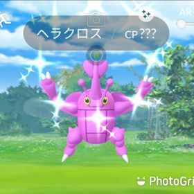 ポケgo ポケモンgo ヘラクロス アカウント販売 Rmt 79件を横断比較 アカウント売買 一括比較 Price Rank