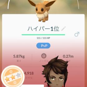 ポケgo ポケモンgo Pvp アカウント販売 Rmt 45件を横断比較 アカウント売買 一括比較 Price Rank