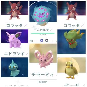 ポケgo ポケモンgo ラッタ アカウント販売 Rmt 8件を横断比較 アカウント売買 一括比較 プライスランク
