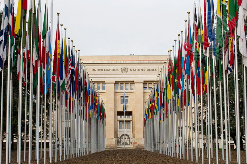 The UN