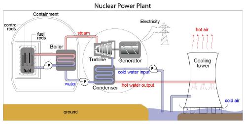 A_typical_nuclear_reactor_has_several_primary.jpg