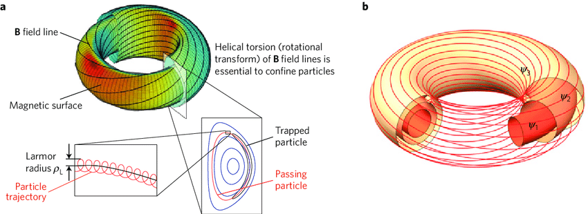 Magnetic-field-structure-in-a-tokamak-a-Schematic-view-of-the-magnetic-field.png