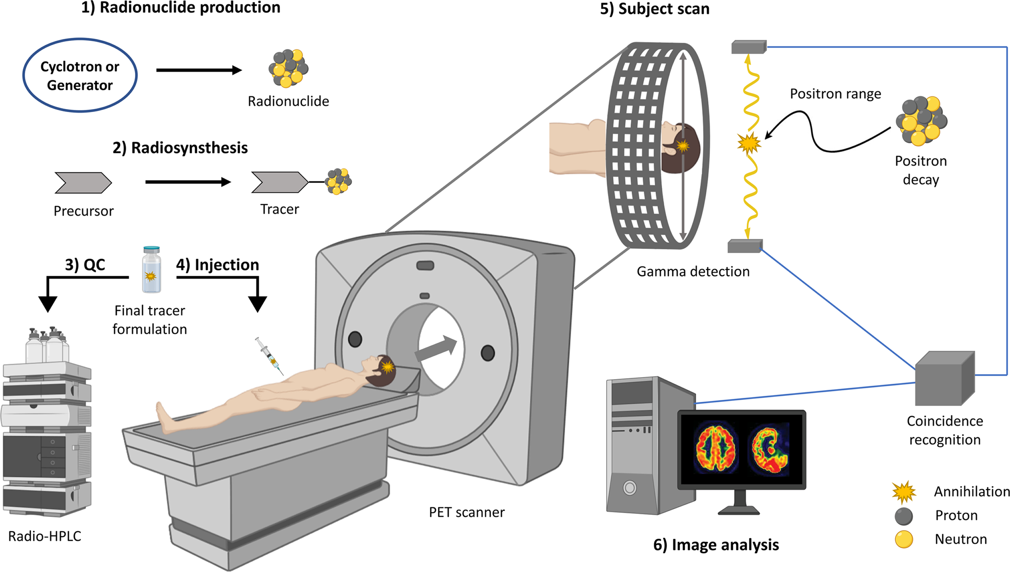 PET SCAN.png