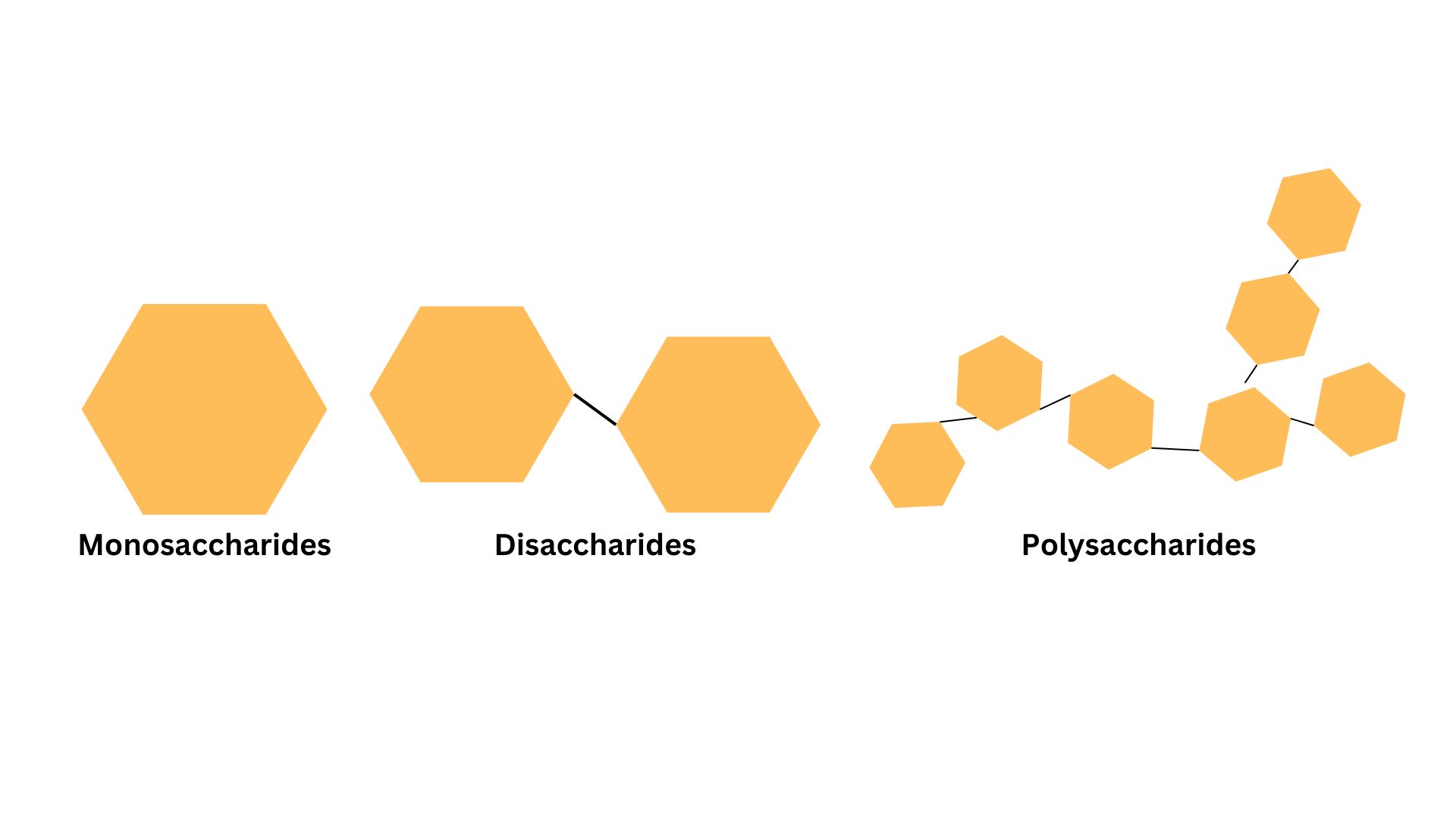 Polysaccharide.jpg