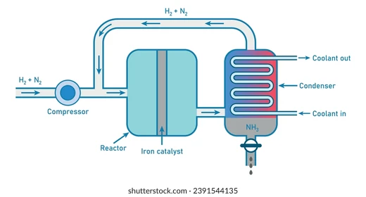 haber-process-scientific-resources-teachers-260nw-2391544135.webp