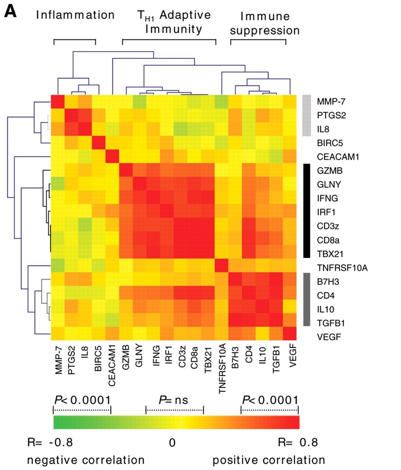 Agglomerative and Divisive Clustering, data visualization - Hierarchical clustering of correlation matrix - Cross Validated