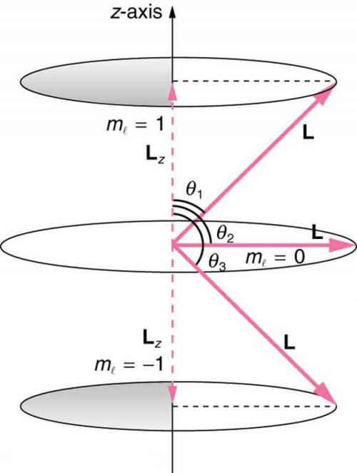 Quantization and vector properties, Quantum Numbers and Rules | Physics