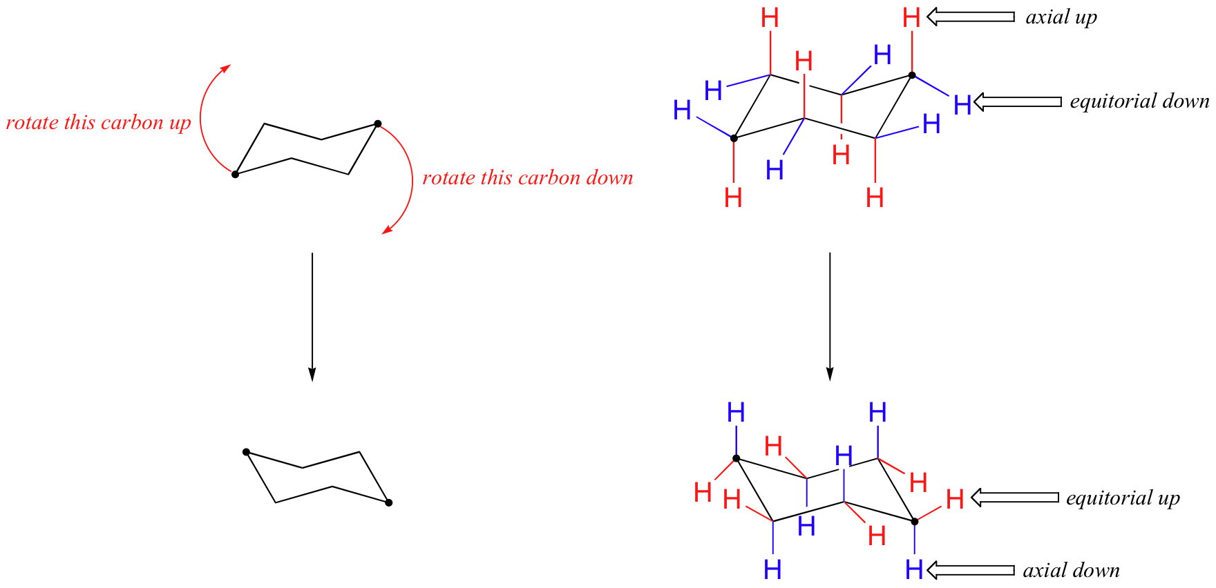Antiperiplanar geometry in cyclohexane eliminations, 3.6. Conformations of cyclic alkanes | Organic Chemistry 1: An open textbook