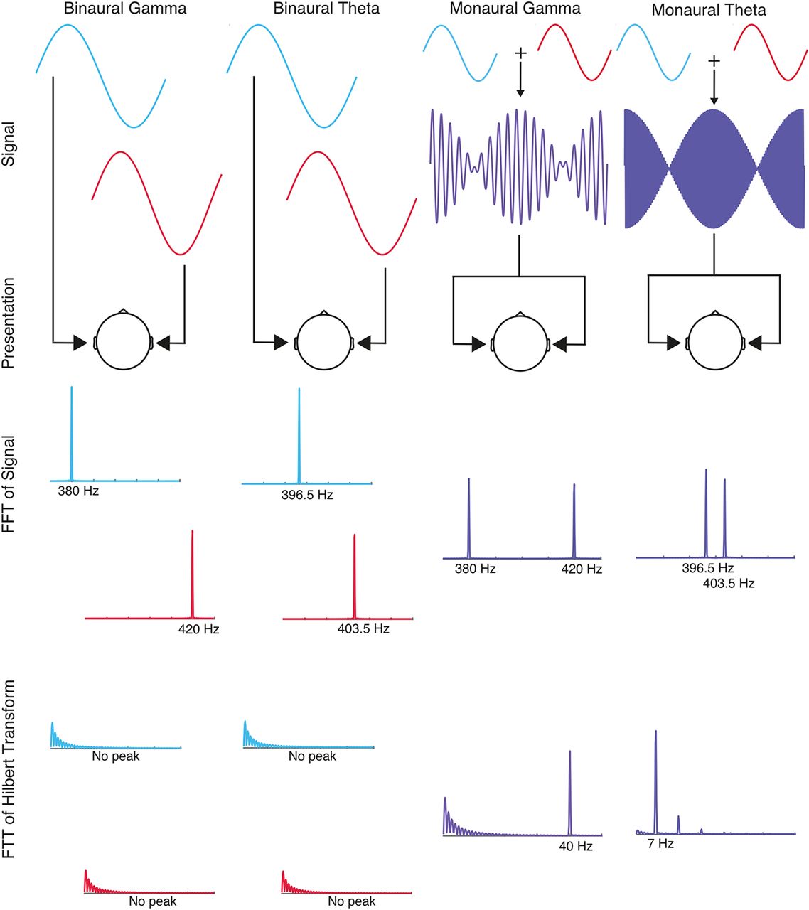 Beat frequency definition and occurrence, Binaural Beats through the Auditory Pathway: From Brainstem to Connectivity Patterns | eNeuro