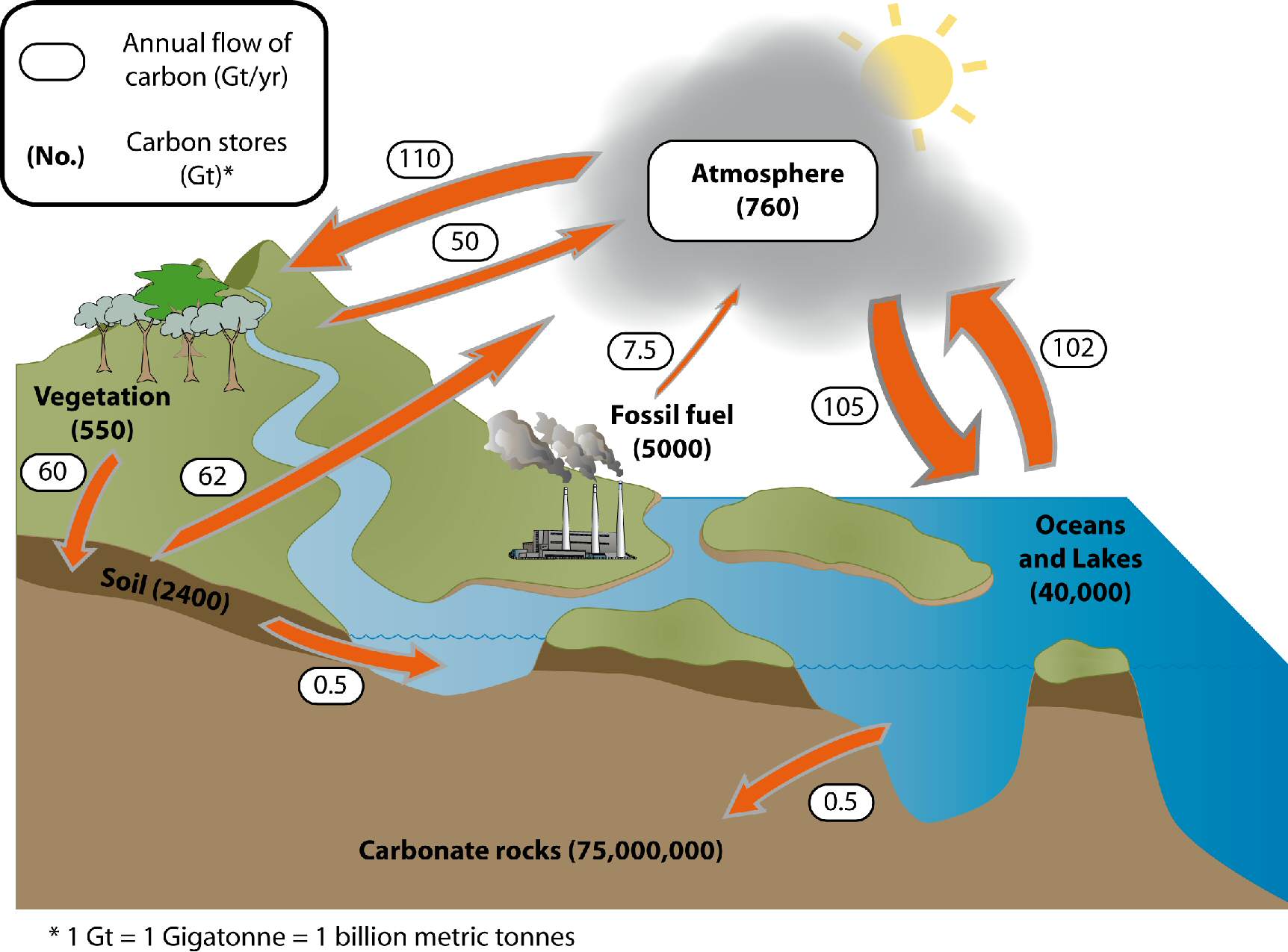Biogeochemical cycles in ecosystems, Soil carbon | Environment, land and water | Queensland Government