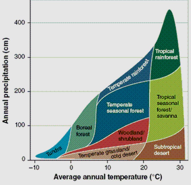 Biome Distribution and Ecosystem Dynamics, Biome - Wikipedia
