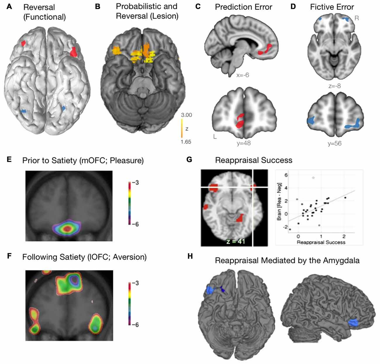 CSTC Circuit and Cortical Regions, Frontiers | Cortico-Striatal-Thalamic Loop Circuits of the Orbitofrontal Cortex: Promising ...