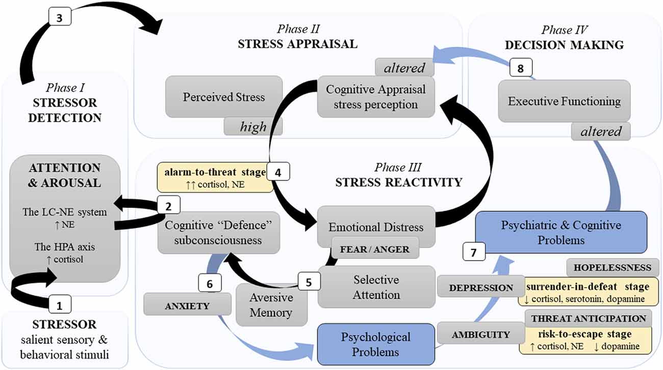 Classical vs quantum probability, Frontiers | Mental Resilience and Coping With Stress: A Comprehensive, Multi-level Model of ...