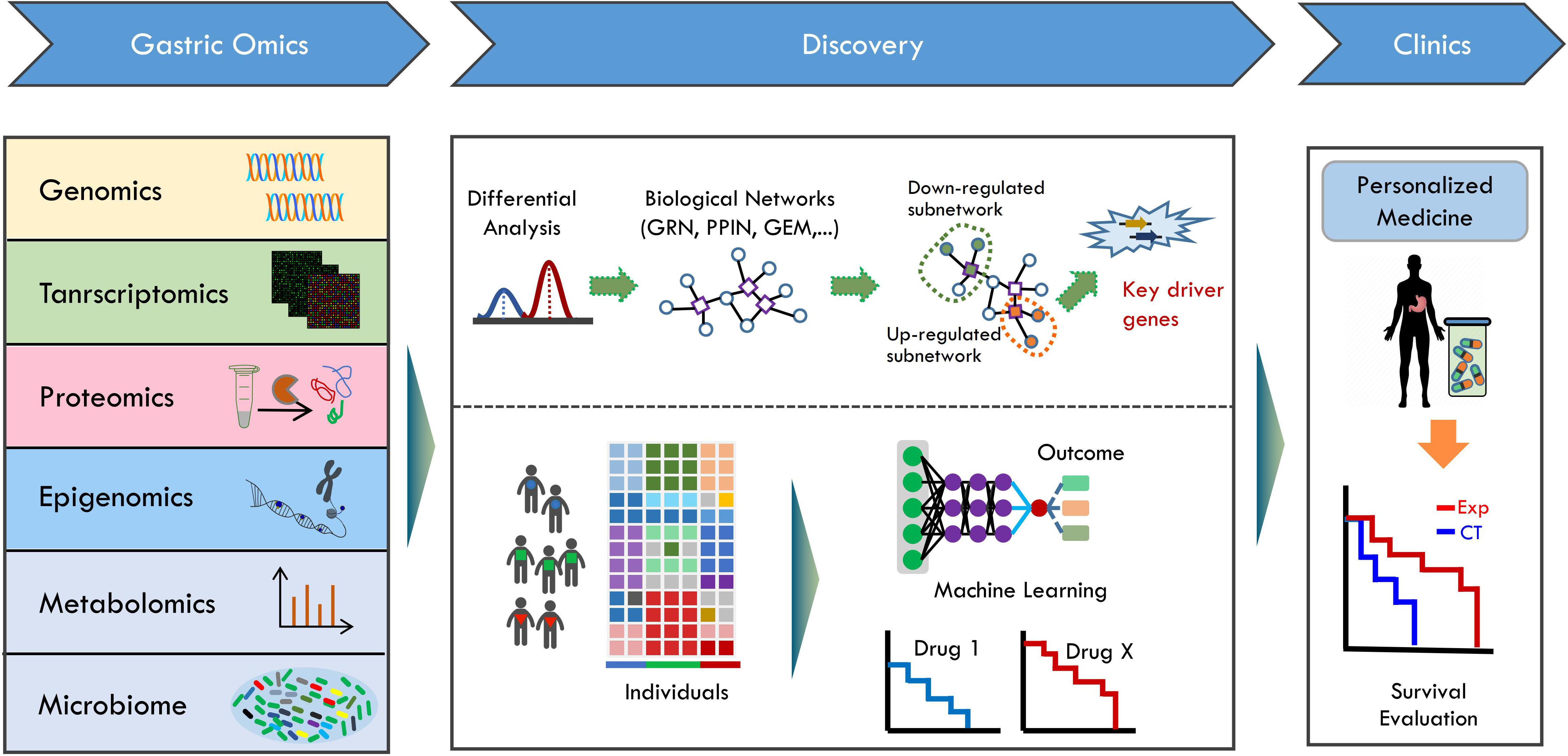 Understanding Cluster Sampling Components, Frontiers | Systems Biology of Gastric Cancer: Perspectives on the Omics-Based Diagnosis and ...