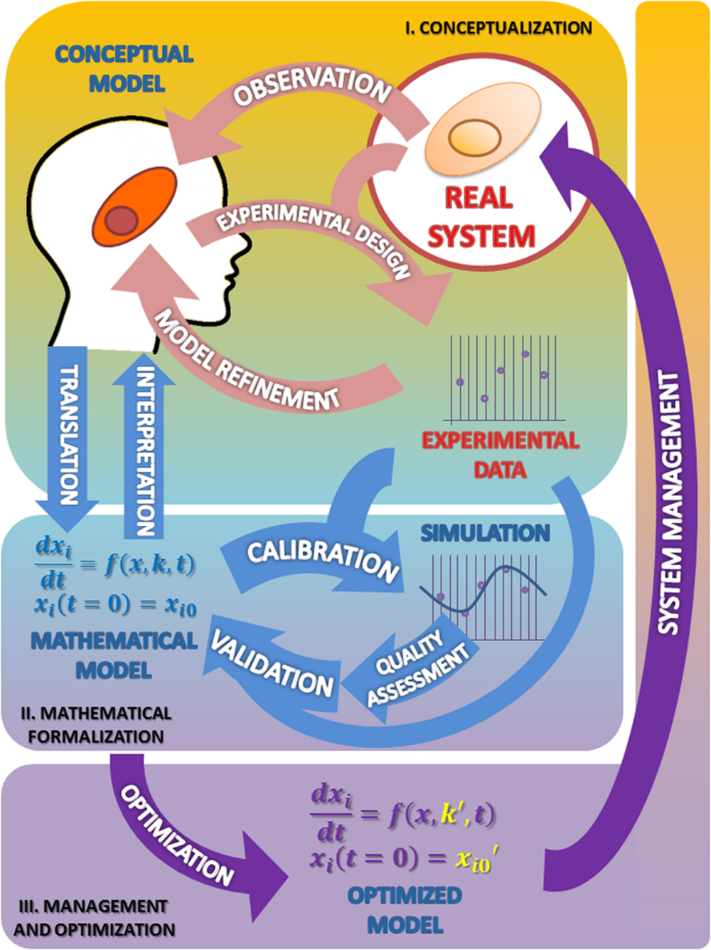 Compartmental and Differential Equation Models, Frontiers | The (Mathematical) Modeling Process in Biosciences