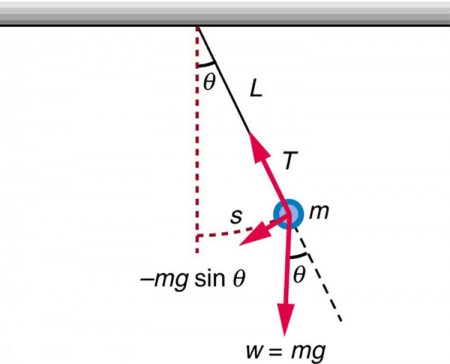 Components of SDOF systems, The Simple Pendulum | Physics