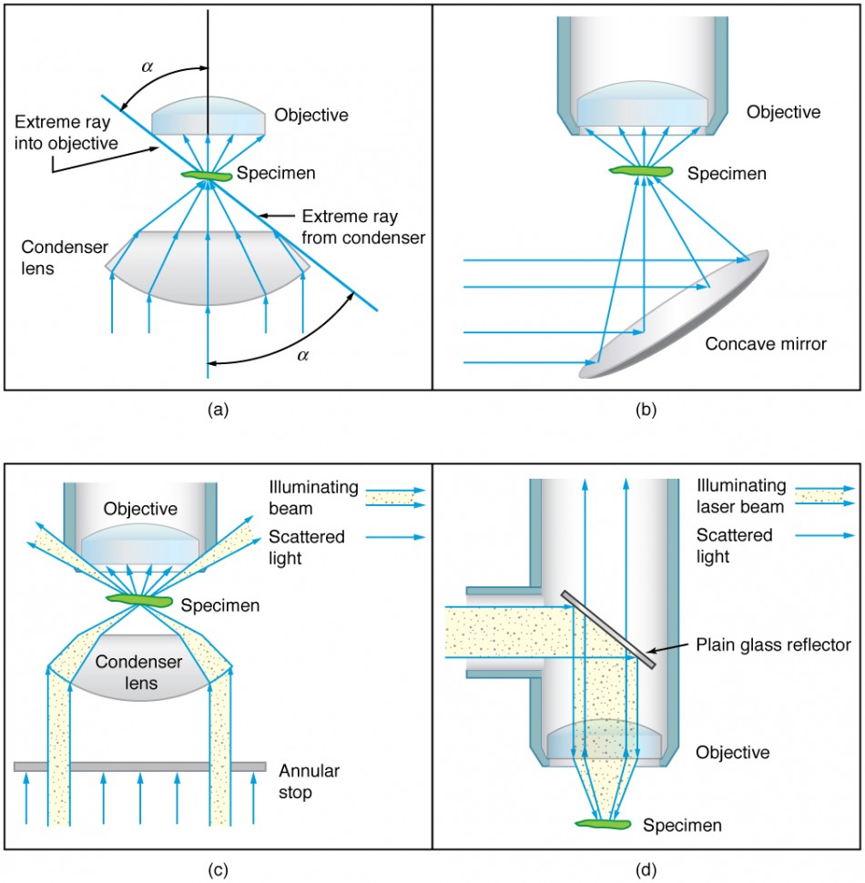 Components of compound microscopes, Microscopes | Physics