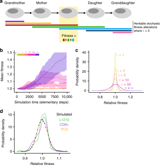 Convergence and Optimization Challenges, Fitness variation in isogenic populations leads to a novel evolutionary mechanism for crossing ...