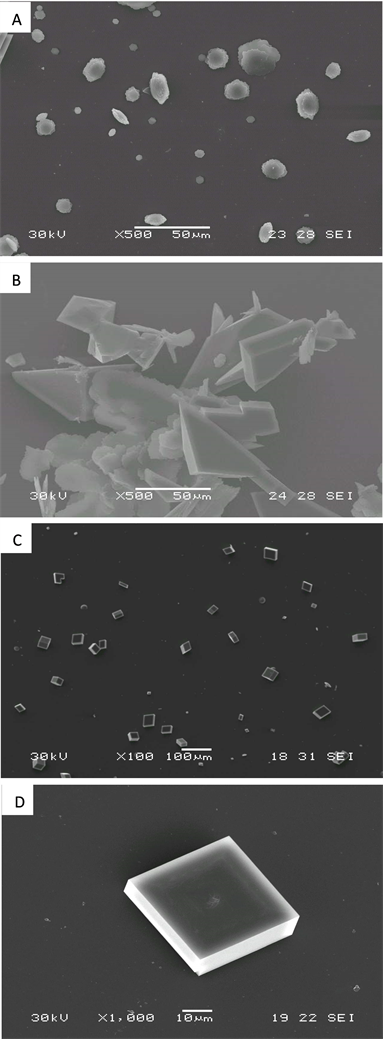 Crystallization vs precipitation, Comparison with Crystallization of Calcium and Strontium Carbonates under DPPC Langmuir Monolayers